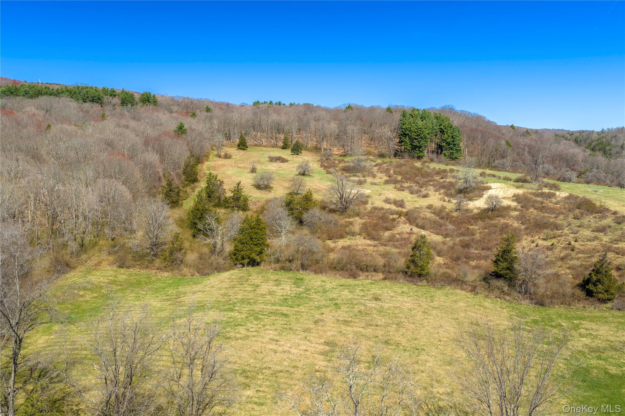 21-23 Tinker Town Road Dover Plains, NY 12522 - Photo 9 of 26 The land slopes gently to the north.