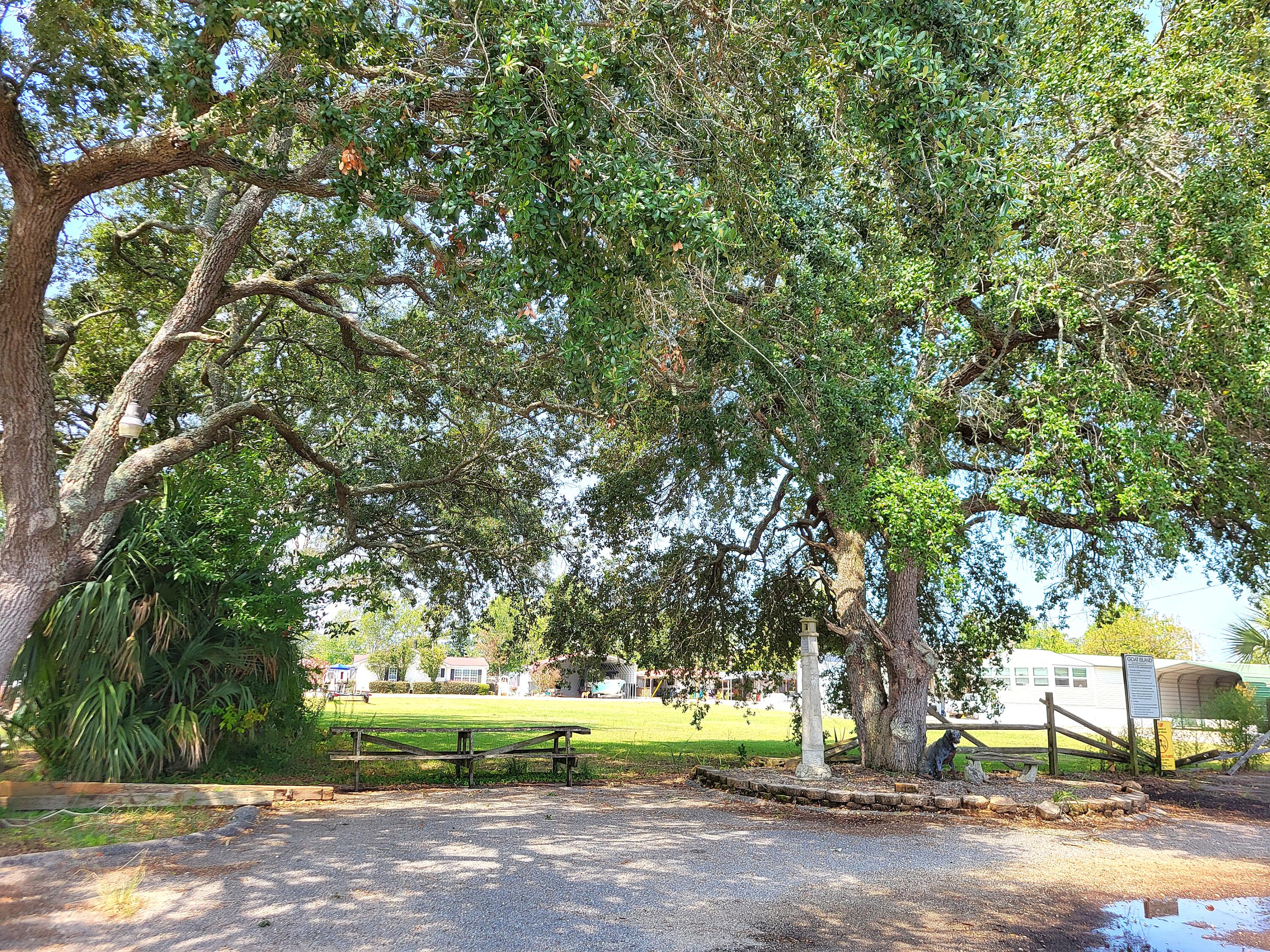 0 Ralph Bell Road Summerton, SC 29148 - Photo 9 of 10