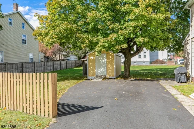 a view of backyard with tree