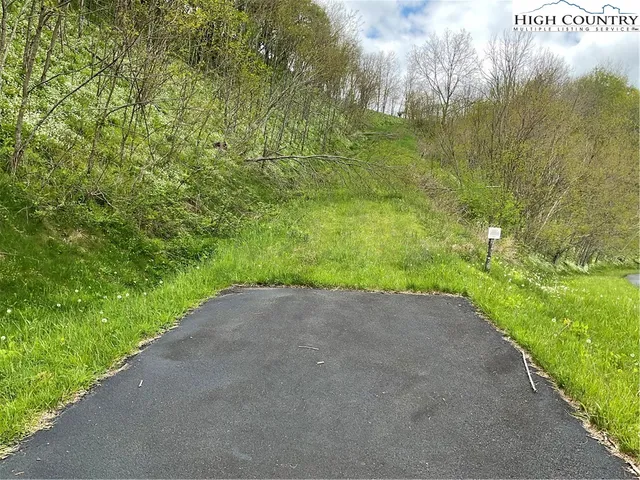 a view of a garden with a pathway