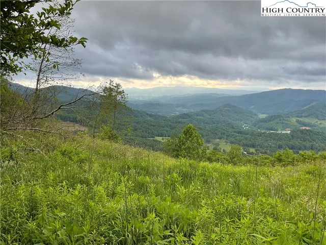 a view of yard with ocean view