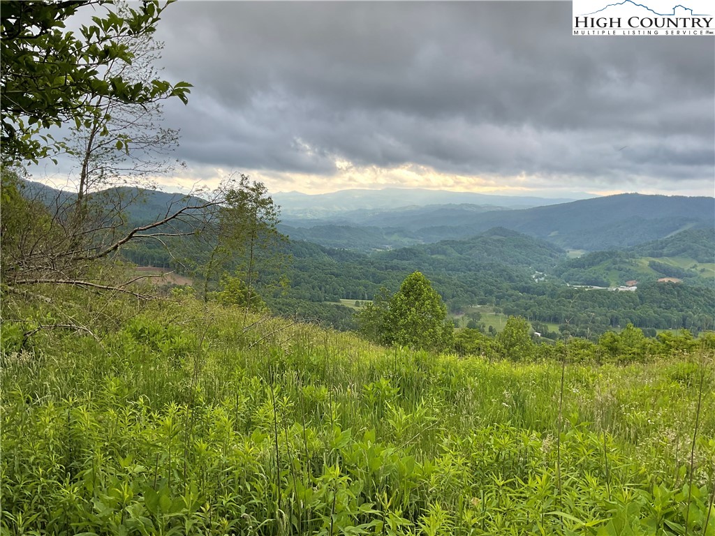 Northeast Moddock Road Trade, TN 37691 - Photo 4 of 9 a view of yard with ocean view