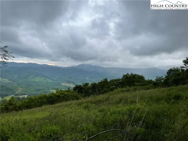 a view of a city with lush green forest