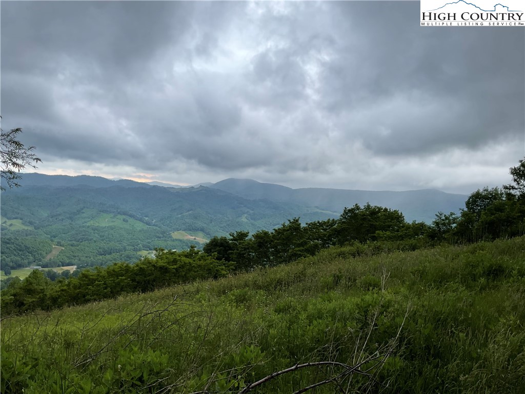 Northeast Moddock Road Trade, TN 37691 - Photo 7 of 9 a view of a city with lush green forest