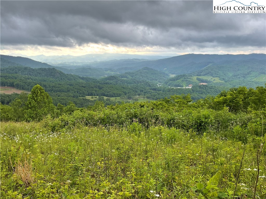 Northeast Moddock Road Trade, TN 37691 - Photo 9 of 9