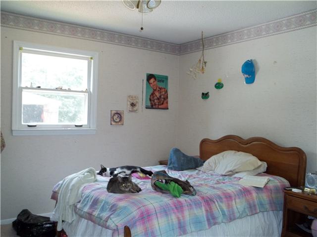 9550 Vaught Road Readyville, TN 37149 - Photo 14 of 19 bedroom 4