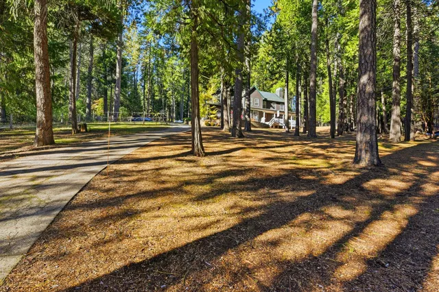 a view of a swimming pool with a trees