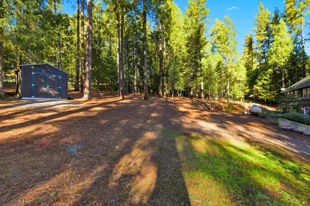 a view of a street with a trees