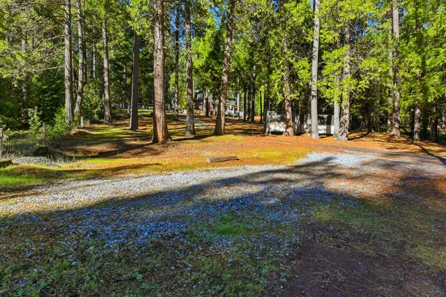 a view of yard with swimming pool and sitting space