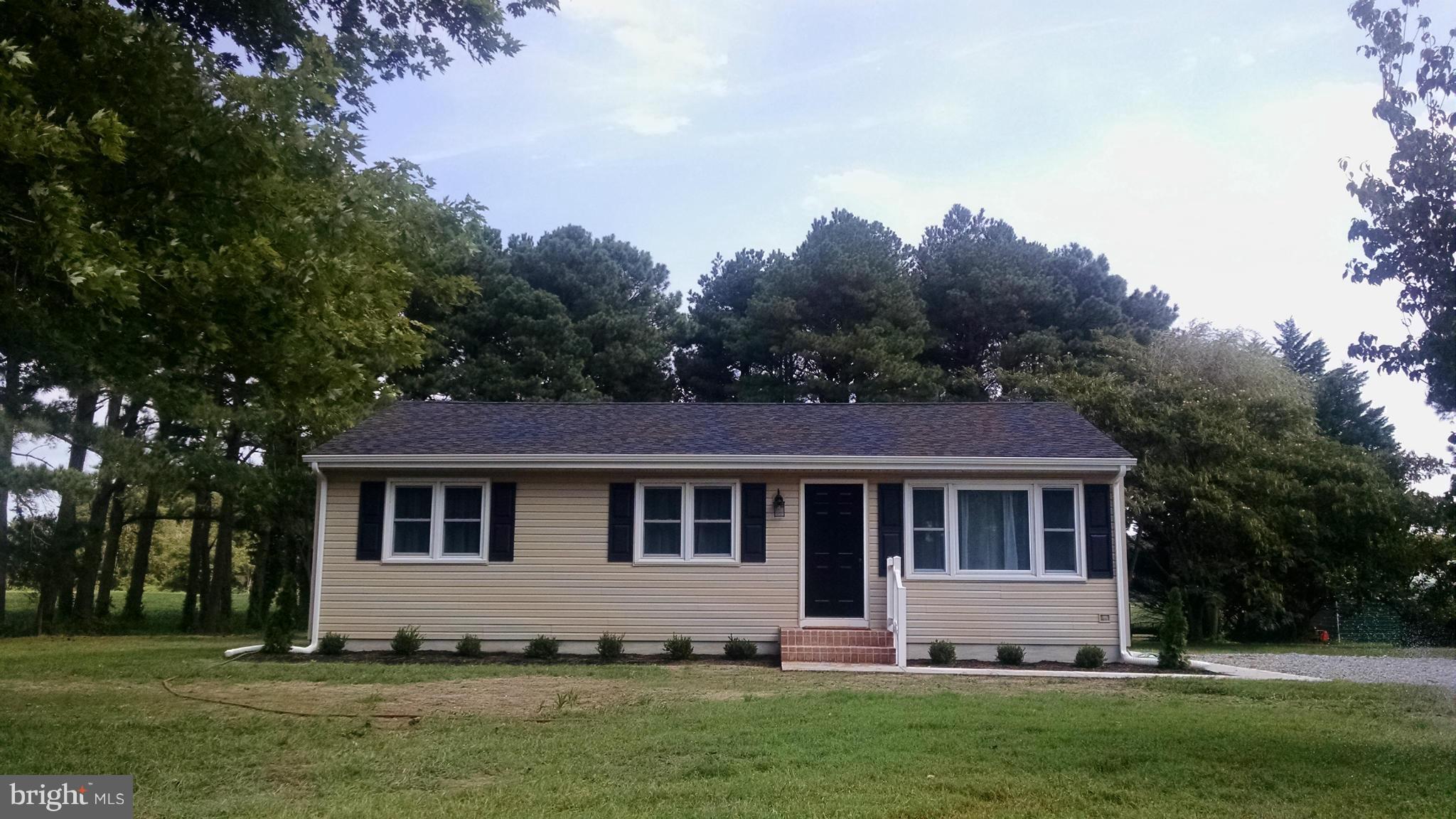 5635 Galestown - Reliance Road Rhodesdale, MD 21659 - Photo 5 of 19 Exterior (Front)