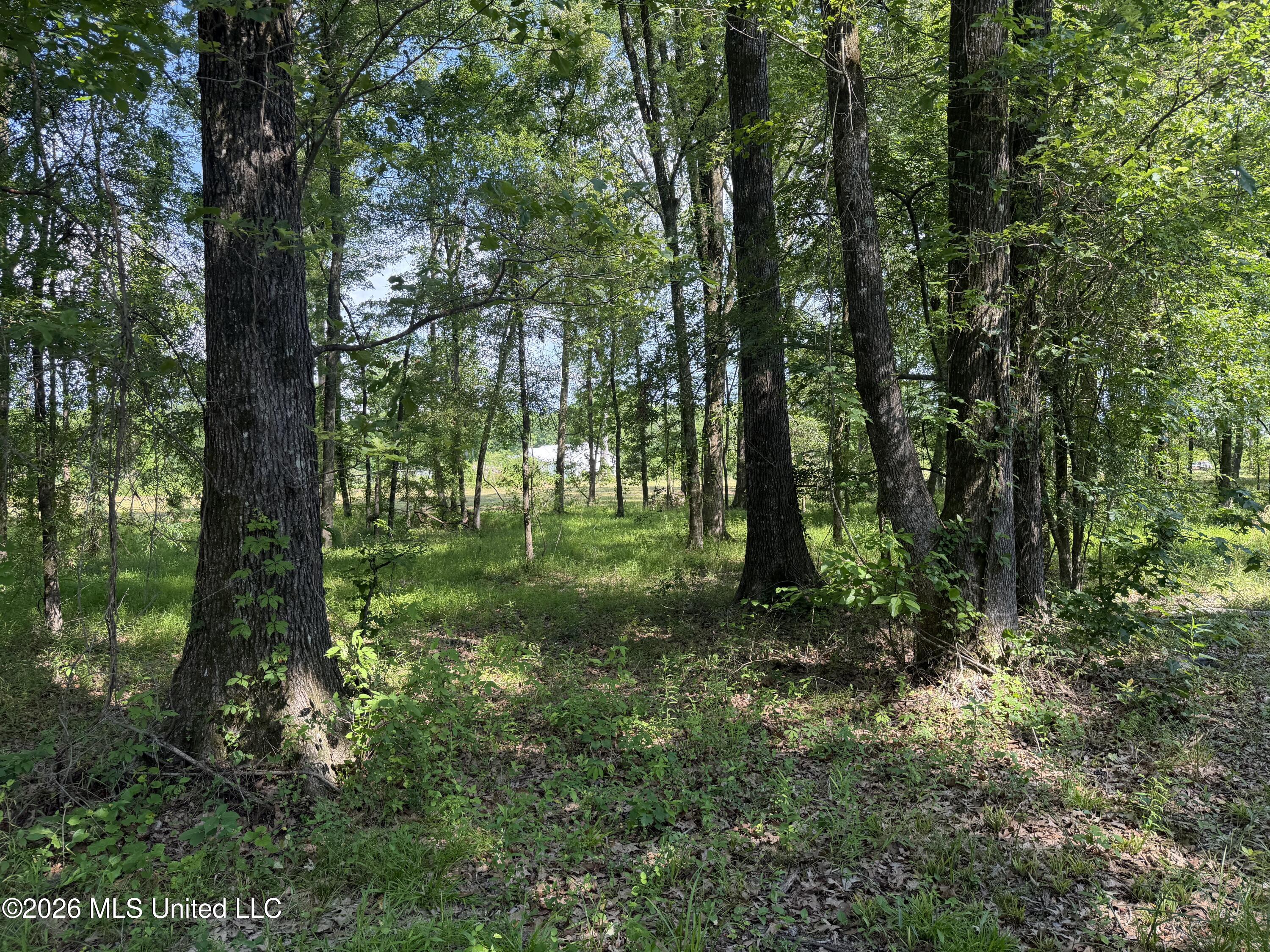 512 Ratliff Ferry Road Canton, MS 39046 - Photo 17 of 42 Photo Jun 02 2026, 3 52 56 PM