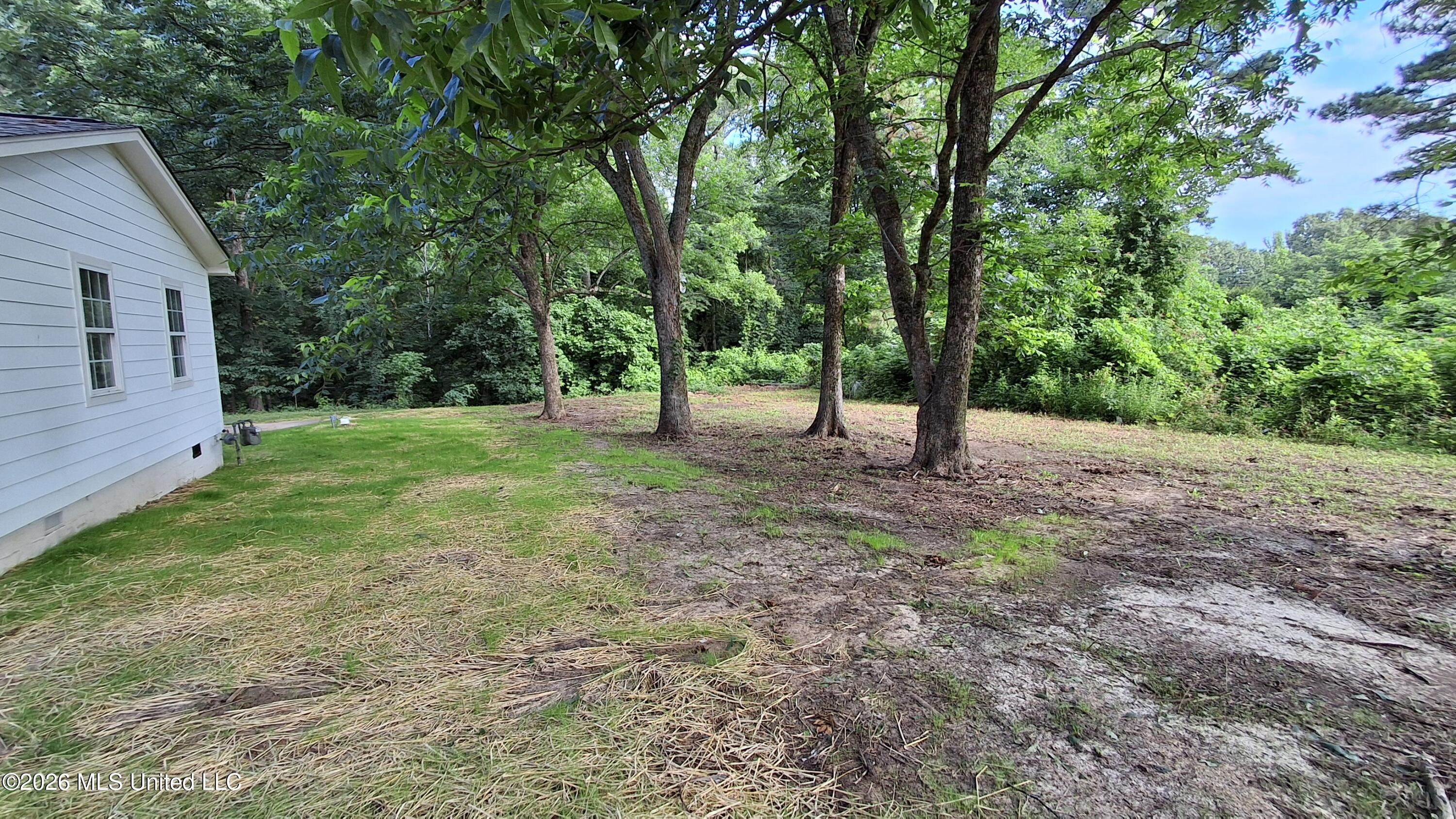 4683 Belmont Road Hernando, MS 38632 - Photo 30 of 30 20260619_081846