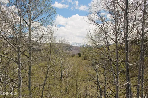 a view of a covered with snow in the background