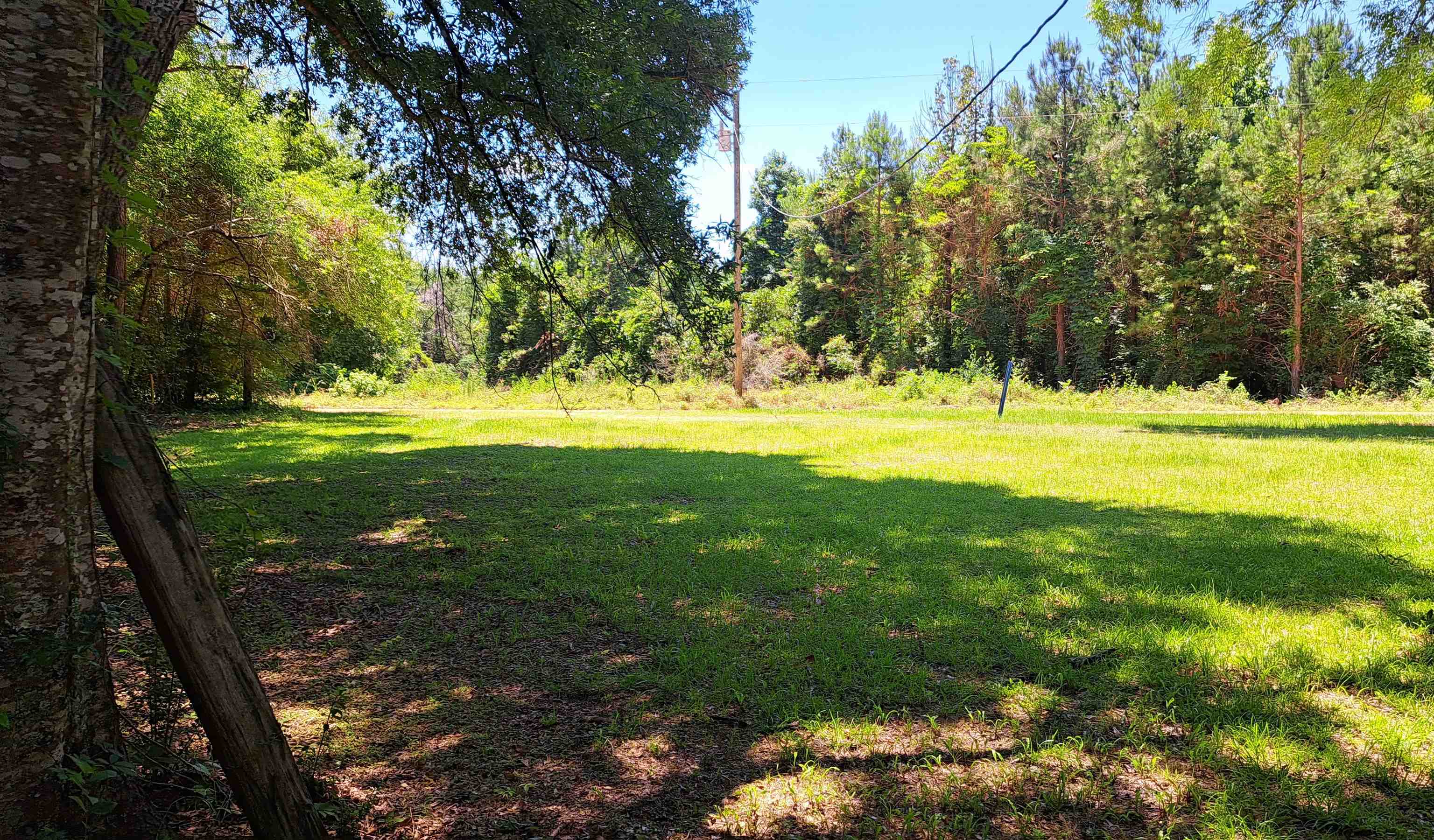 178 Webster Road Evergreen, AL 36401 - Photo 14 of 15 Gallery Image 14