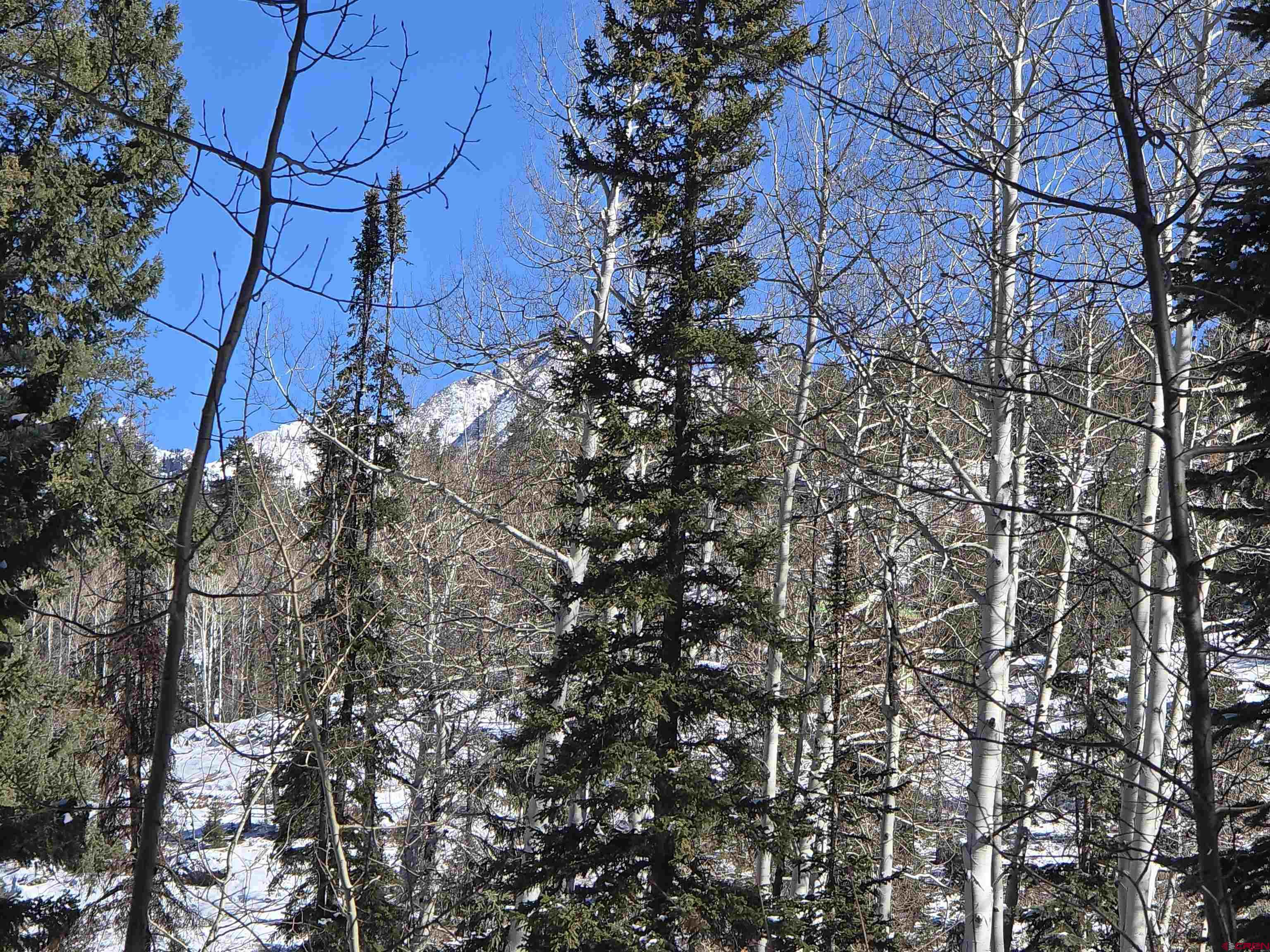 331 Beaver Circle Durango, CO 81301 - Photo 15 of 25 Gallery Image 15