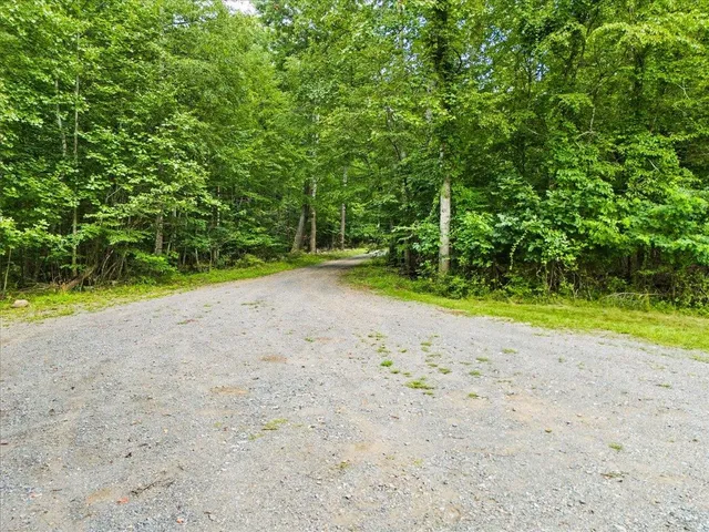 a view of a yard with plants and trees