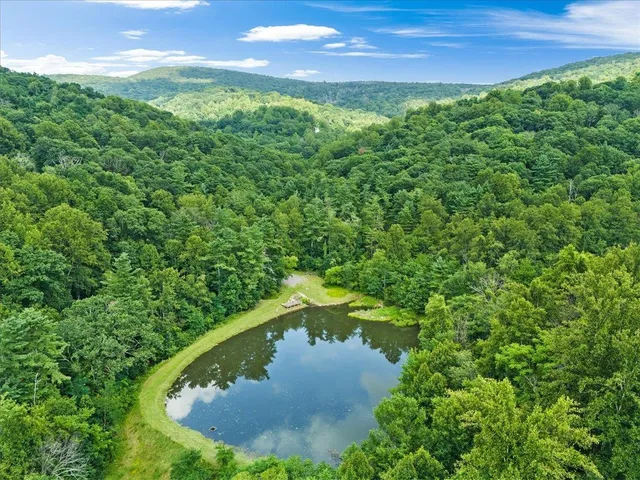 a view of a back yard of the house