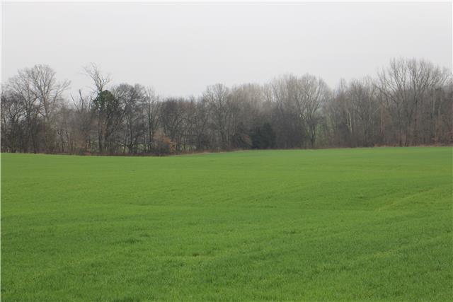 1 Pulliam-Hardaway Road Springfield, TN 37172 - Photo 1 of 3 a view of a grassy field
