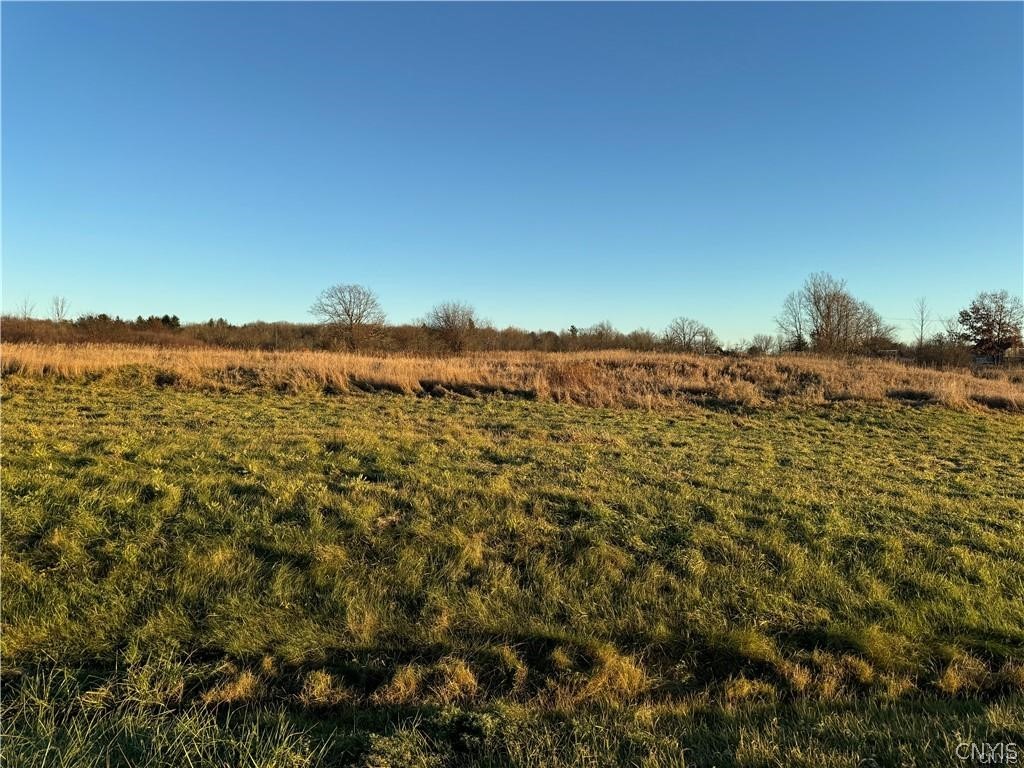 12 Swan Hollow Road Alexandria Bay, NY 13607 - Photo 6 of 6