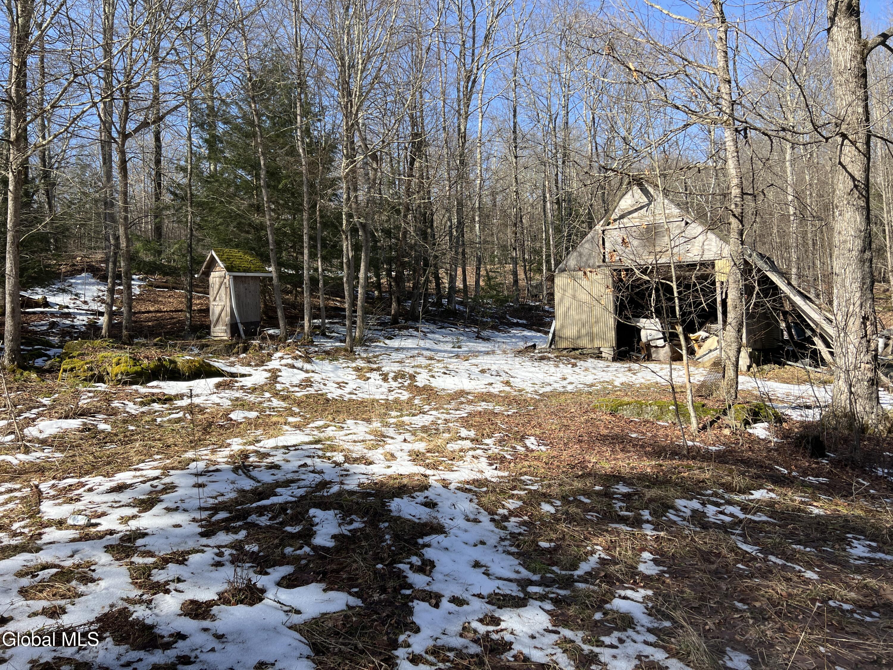 536 Bates Forest Road Conesville, NY 12076 - Photo 8 of 37 8) 72553-6a22a18cbbc0e