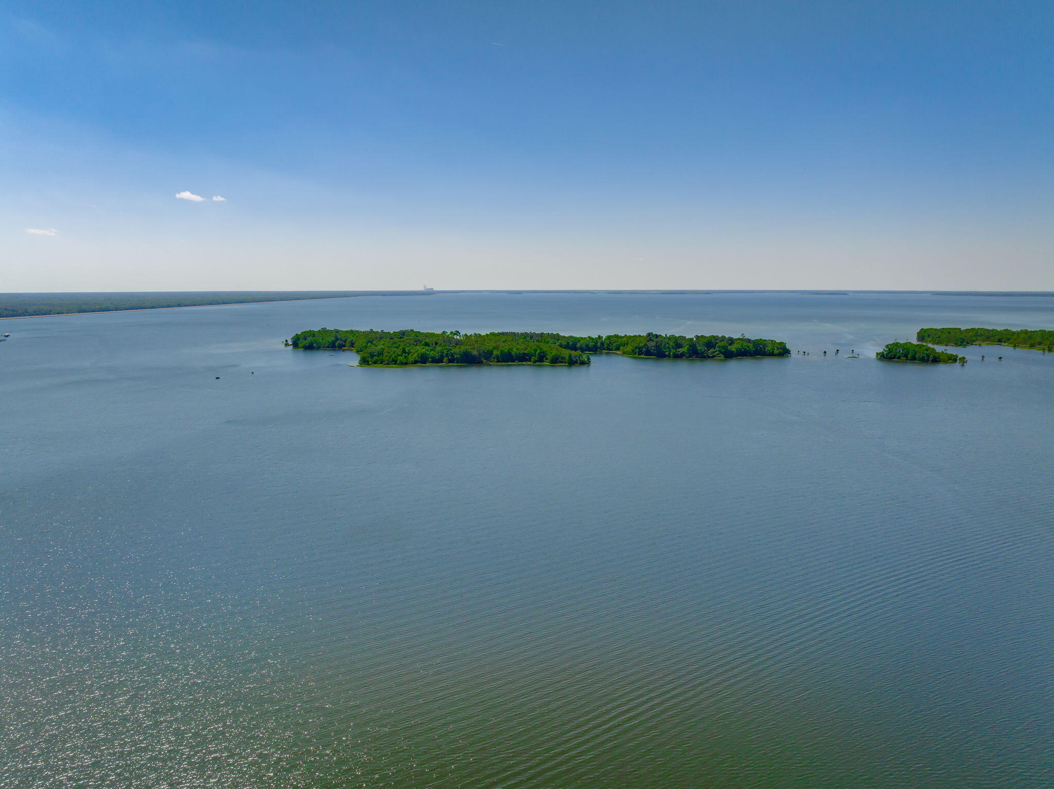 1136 Lemon Avenue Manning, SC 29102 - Photo 89 of 97