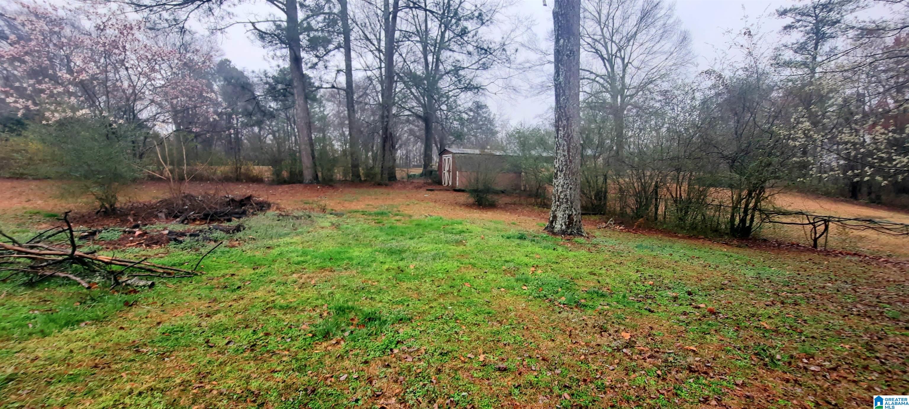 190 Jamback Road Anniston, AL 36207 - Photo 12 of 43