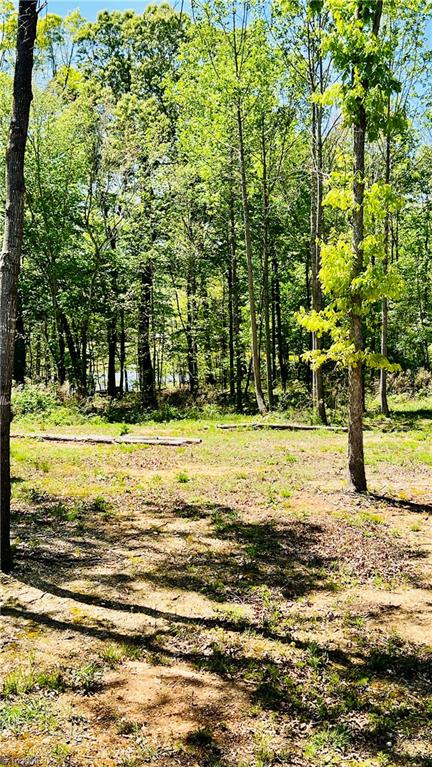 636 Ward Road Staley, NC 27355 - Photo 26 of 33 Pond View