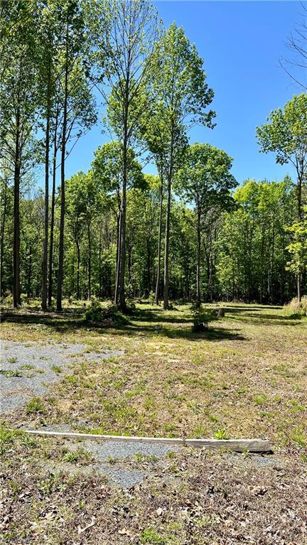 636 Ward Road Staley, NC 27355 - Photo 28 of 33