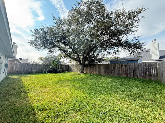 a view of a yard with a tree