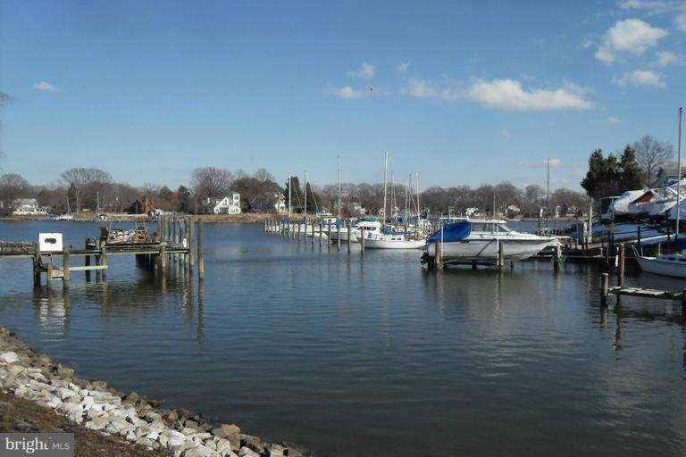 View of Cadle Creek from Property