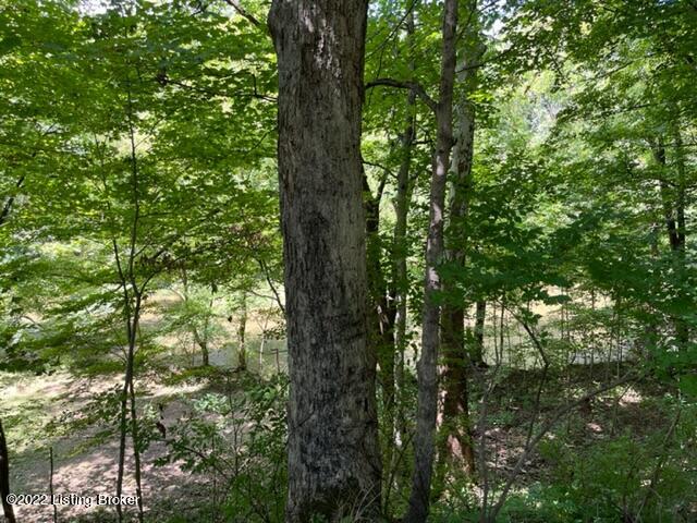 760 Fox Creek Road Pendleton, KY 40055 - Photo 7 of 14 IMG_2637