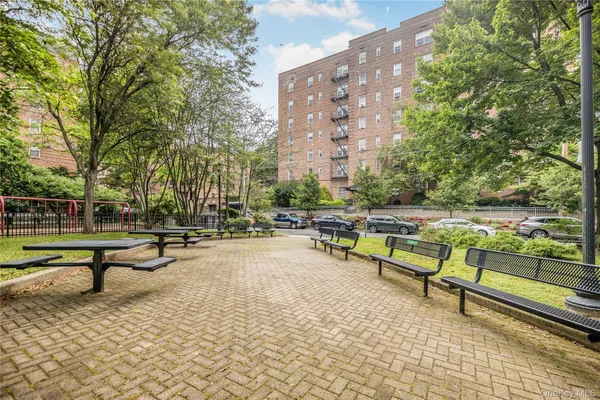 a park with bench and bench