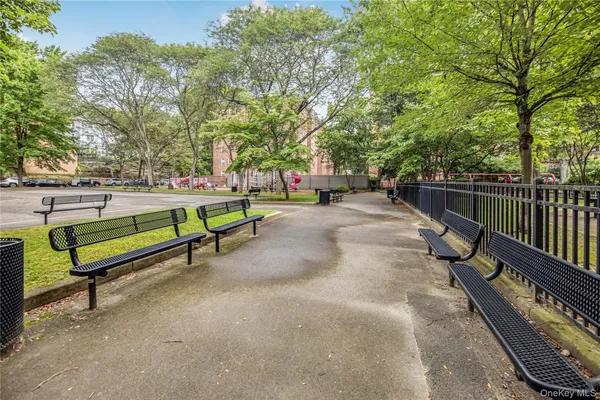 a park with bench and trees