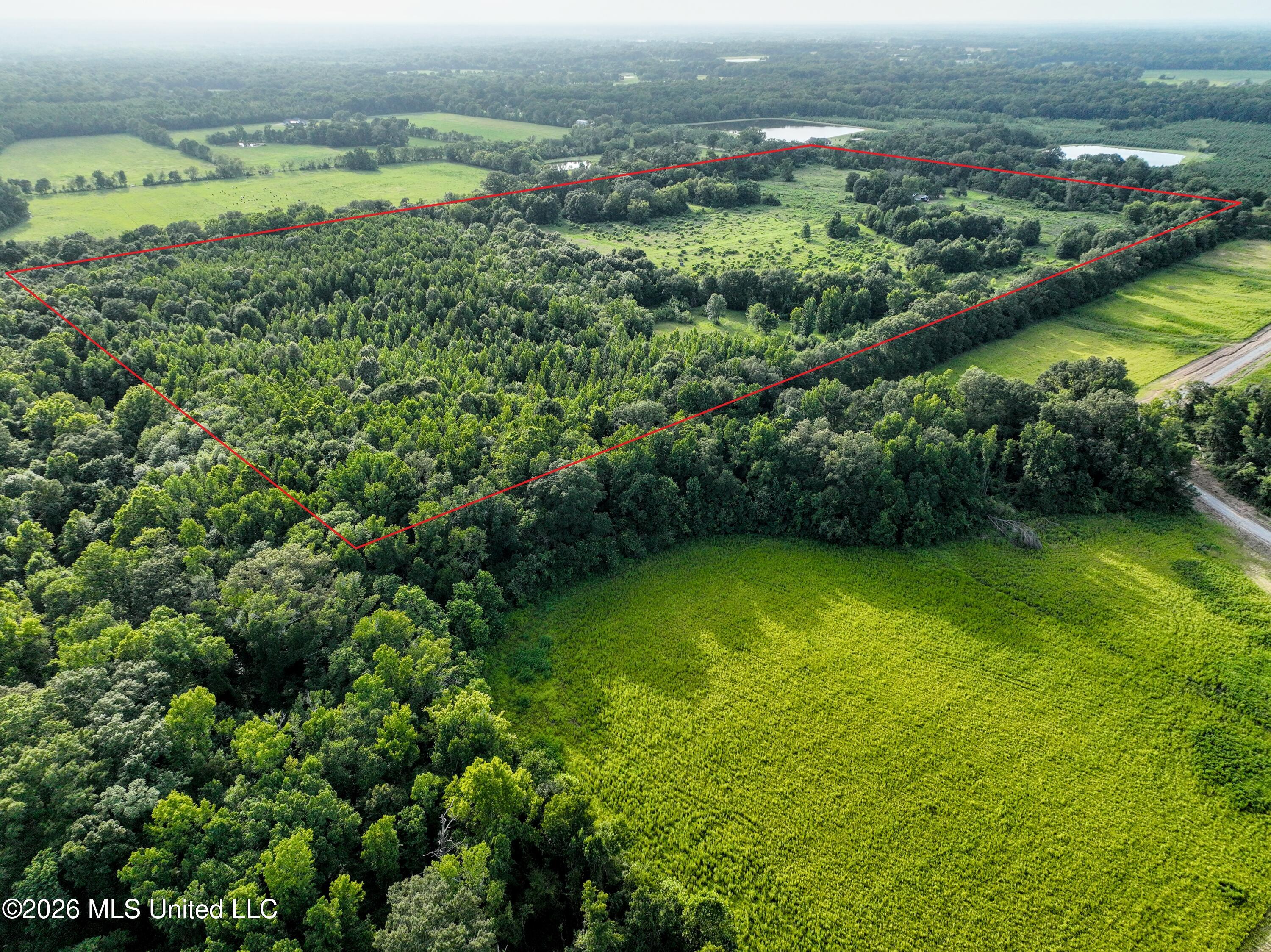 275 Dampeer Road Canton, MS 39046 - Photo 18 of 20 Southeast