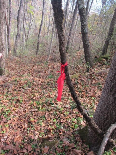Tbd Spring Creek Station Road Renick, WV 24966 - Photo 18 of 33 Gallery Image 18