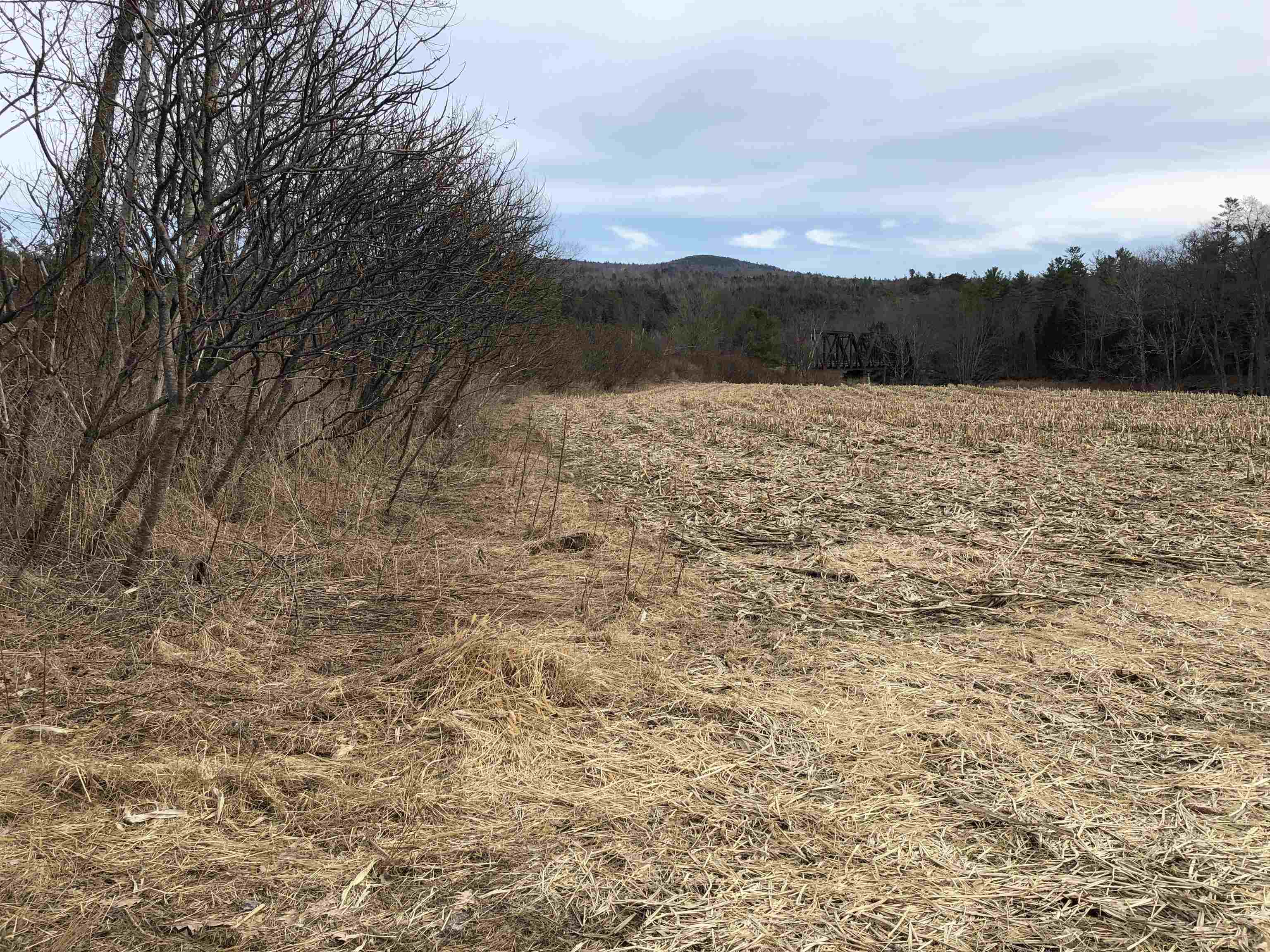 0 Lisbon Road, Unit 8 Bath, NH 03740 - Photo 12 of 28