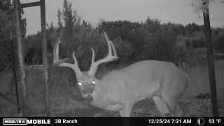 a view of a bathroom