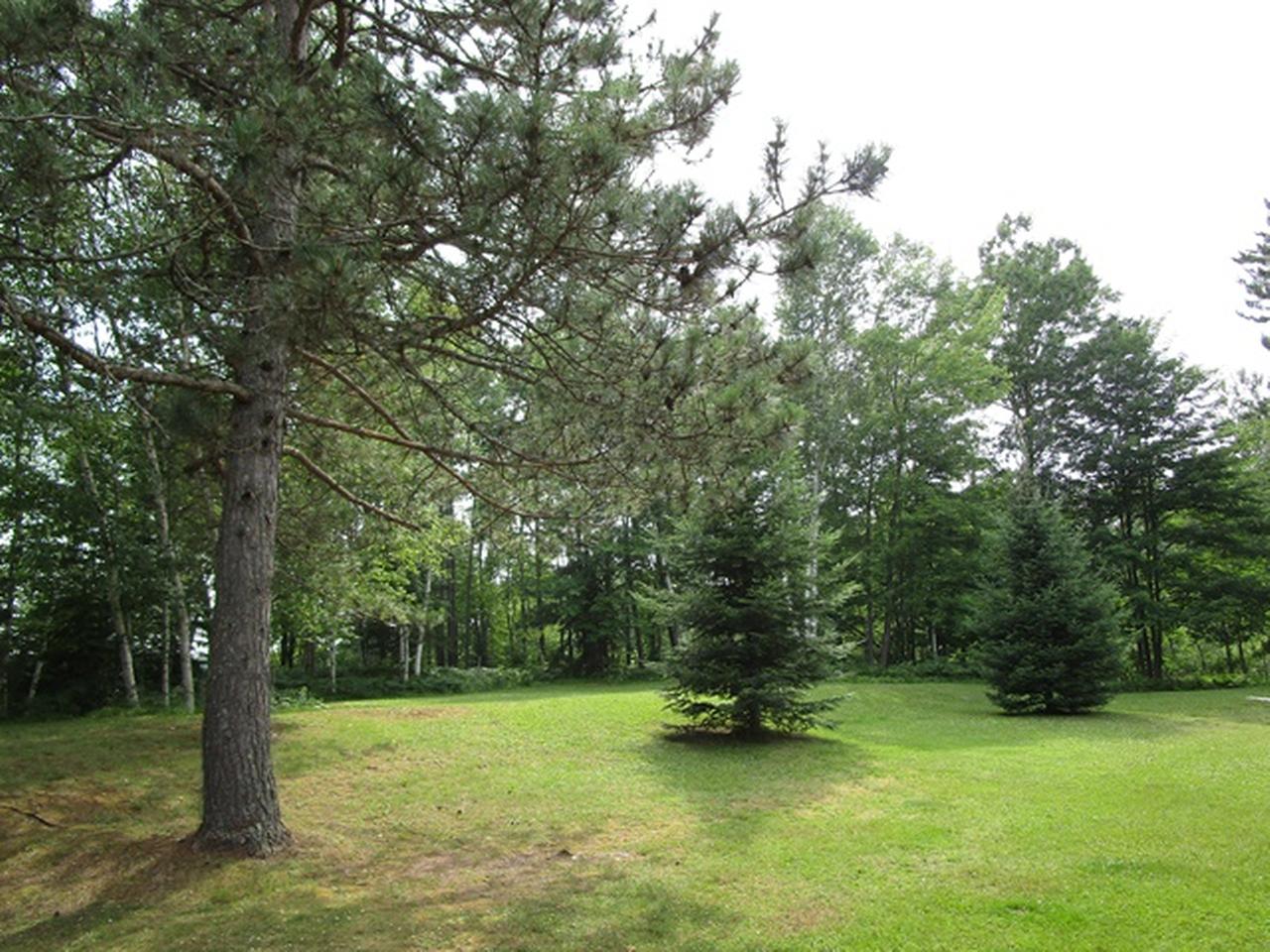 2716 Oestreich Road Mercer, WI 54547 - Photo 23 of 30 Gallery Image 23