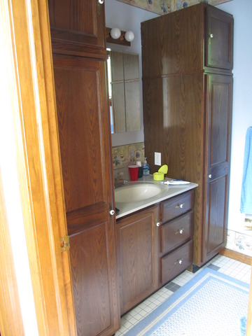 83 North 43rd Road Mendota, IL 61342 - Photo 15 of 25 a bathroom with a sink and a mirror