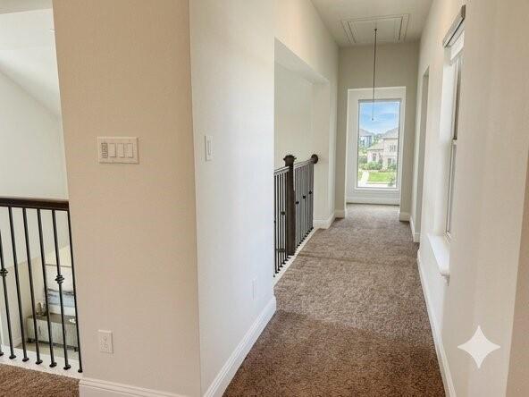 6825 Entwistle Road Frisco, TX 75034 - Photo 14 of 25 The property features a hallway with carpeted flooring, light-colored walls, and a window providing natural light and exterior views