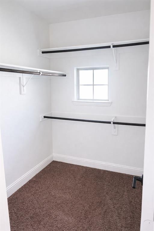 6825 Entwistle Road Frisco, TX 75034 - Photo 20 of 25 Walk-in closet with brown carpet, white walls, and a window providing natural light