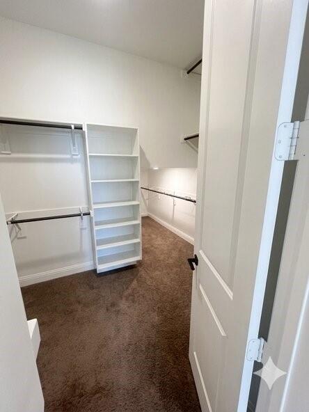 6825 Entwistle Road Frisco, TX 75034 - Photo 8 of 25 The property features a closet with carpeted flooring, white walls, and built-in shelving units