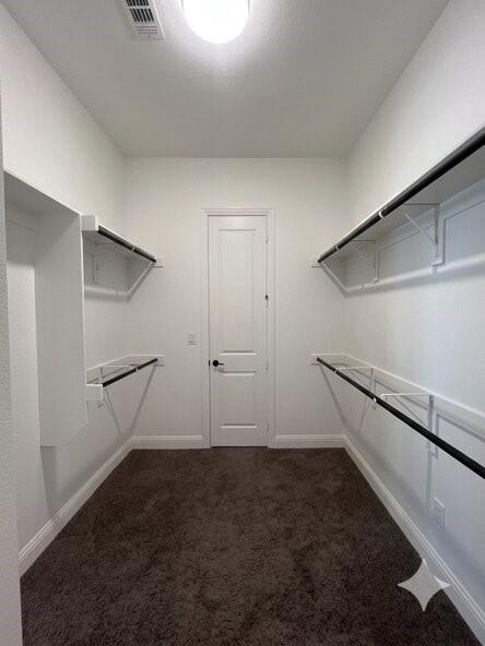6825 Entwistle Road Frisco, TX 75034 - Photo 9 of 25 Walk-in closet with dark brown carpet, white walls, and built-in shelving and hanging rods