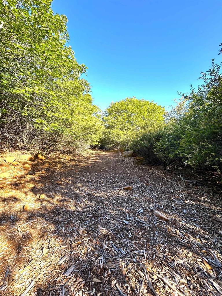 Oak Way Julian, CA 92036 - Photo 9 of 10