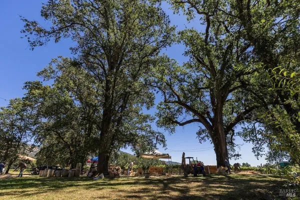 $7,950,000 | 16000 Powerhouse Road, Potter Valley, CA 95469