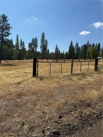 a view of ocean with large trees