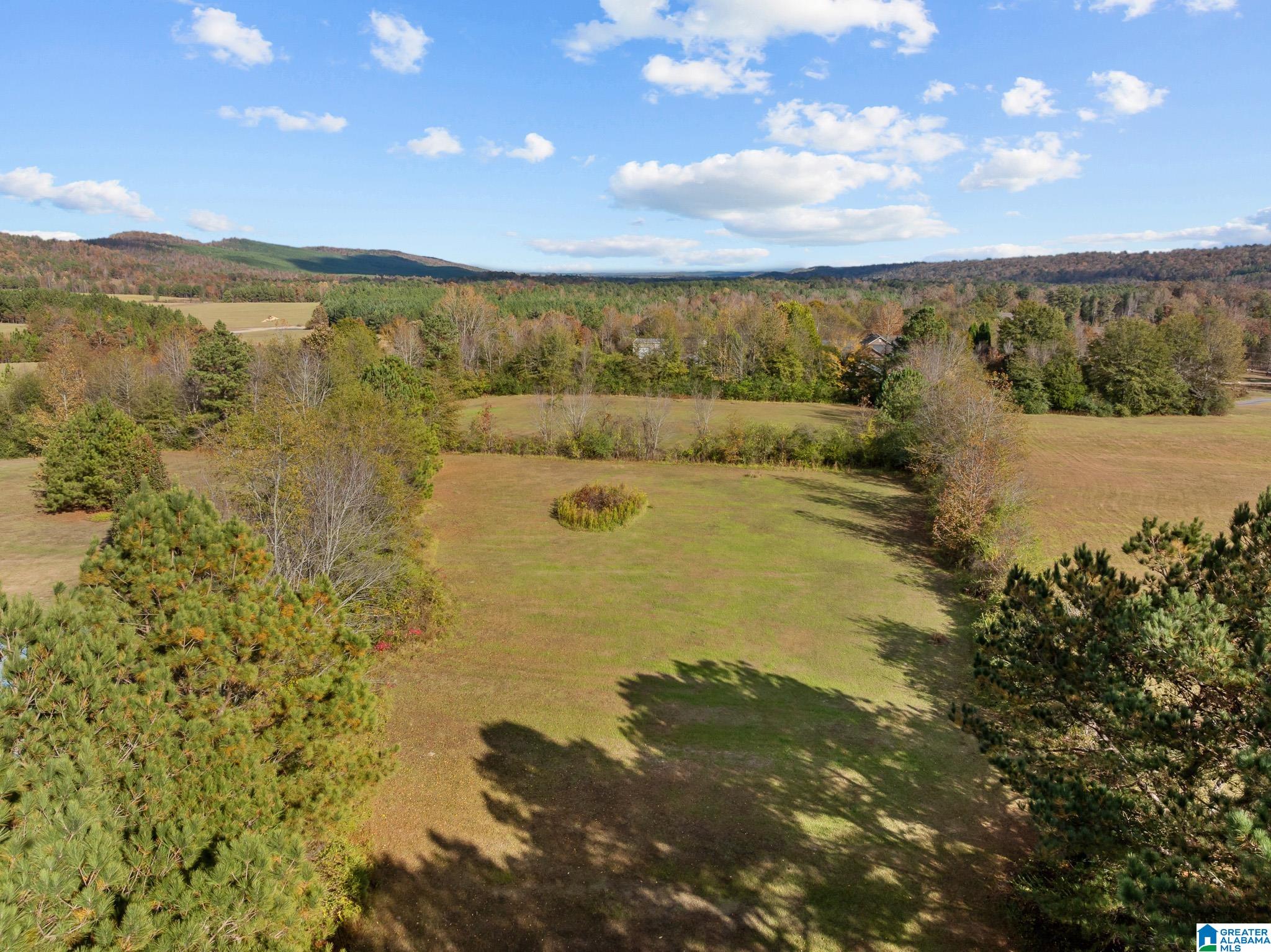 0 Armstrong Road, Unit 1 Ashville, AL 35953 - Photo 9 of 12