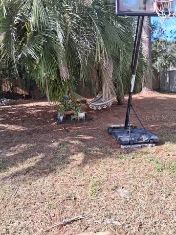 a view of a park with a tree