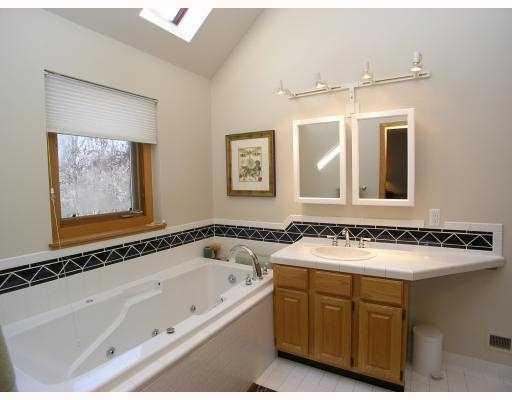 8832 Webster Hills Road Dexter, MI 48130 - Photo 7 of 10 Photo 7
