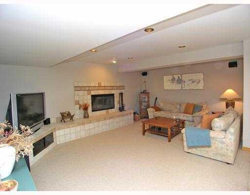 8832 Webster Hills Road Dexter, MI 48130 - Photo 9 of 10 Photo 9